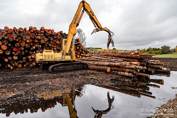 B Lumber Mill