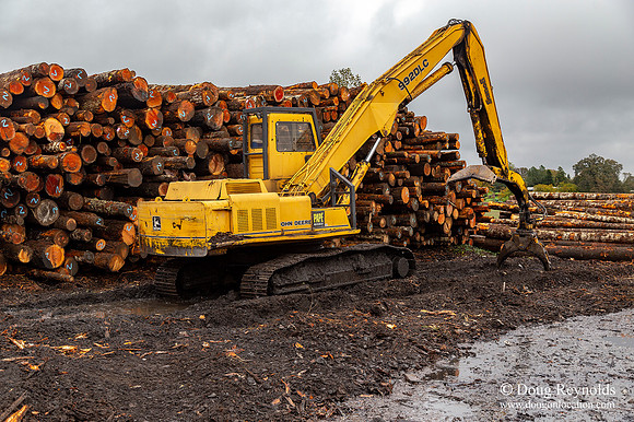 B Lumber Mill