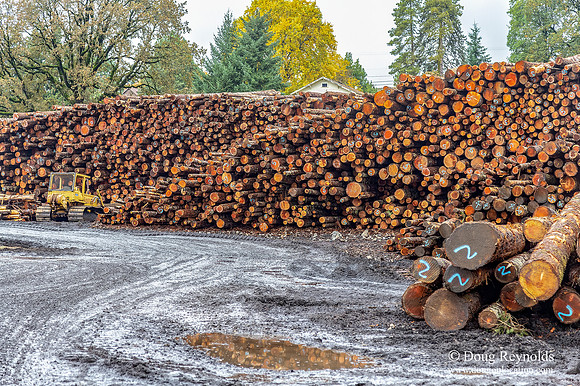 B Lumber Mill