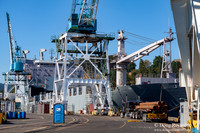 Ship Yard