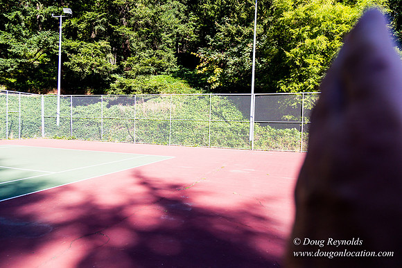 Tabor T Courts West