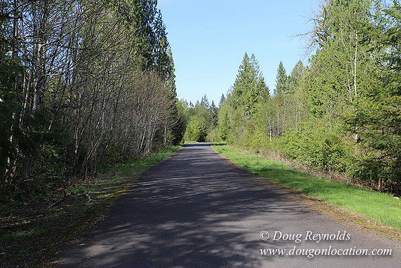 Brians Pond & Drive-9920