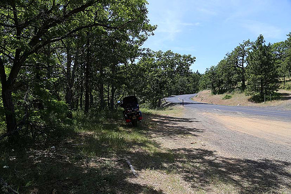 Canyon Rd 2-7988