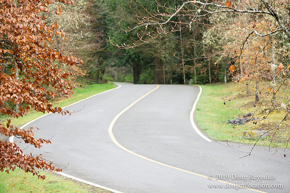 Alderbrook Resort