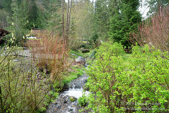Alderbrook Resort
