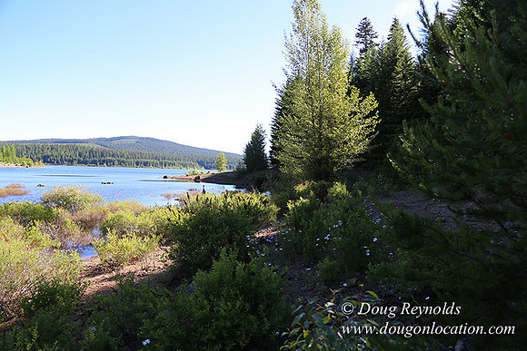 Clear Lake-3614