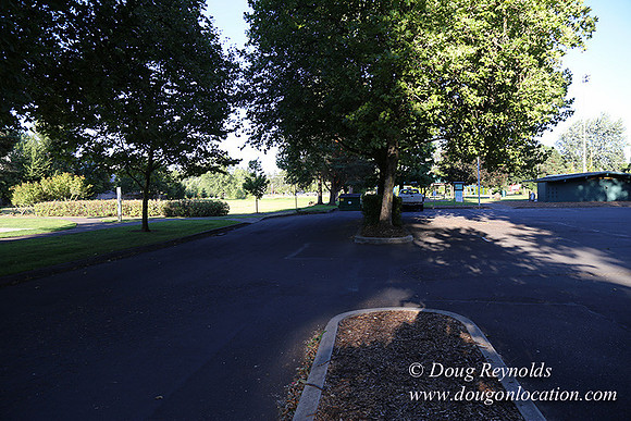 Lincoln Park-0669