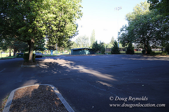 Lincoln Park-0670