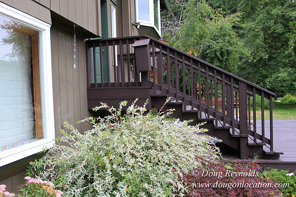 Cabin, Dock, Green, Home, House, Lake, ORBoat, Oregon, "Sky's Lake House", Yard, deck