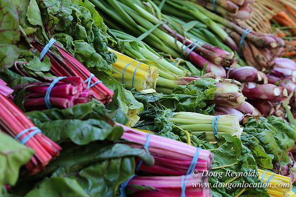 Portland PSU Farmers Mkt-5795