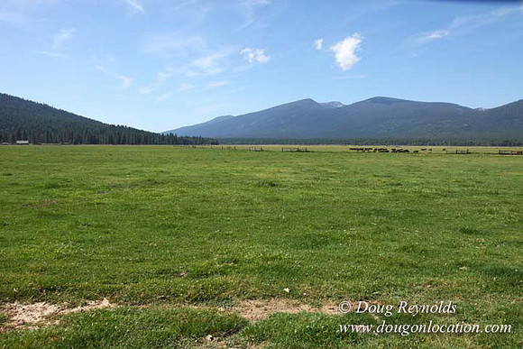 2500 Acres of green fields Creeks water crossing Bridges on a Large Lake and miles of Dirt roads Oak trees Forest land ATV Trails cows
