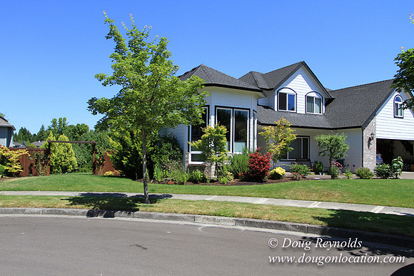 80's/90's Suburban Home Traditional with 2 car garage  2 story with bees