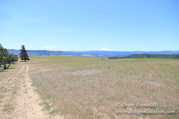Brothers Ranch-8494