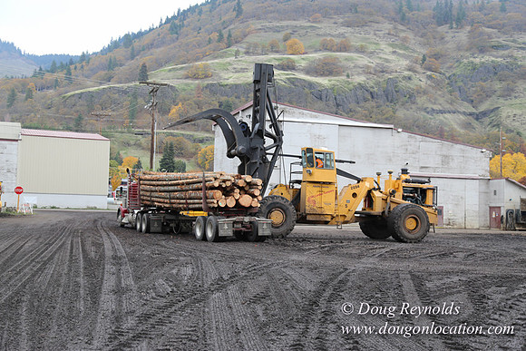 SDS Lumber-1459