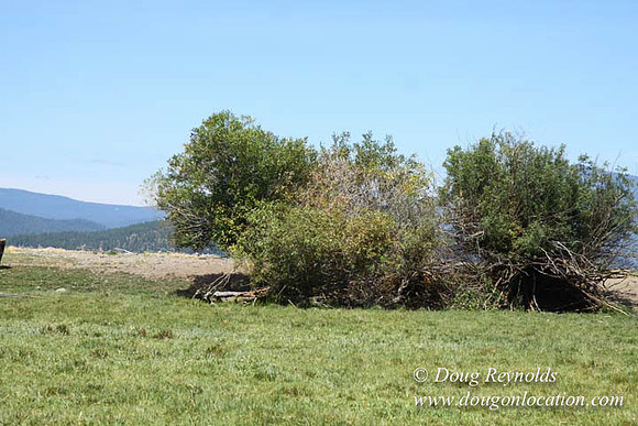 2500 Acres of green fields Creeks water crossing Bridges on a Large Lake and miles of Dirt roads Oak trees Forest land ATV Trails cows