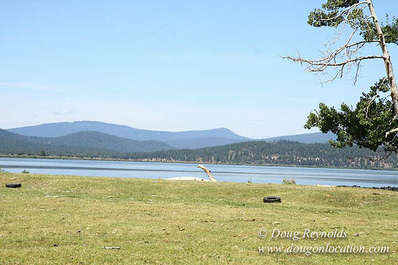 2500 Acres of green fields Creeks water crossing Bridges on a Large Lake and miles of Dirt roads Oak trees Forest land ATV Trails cows