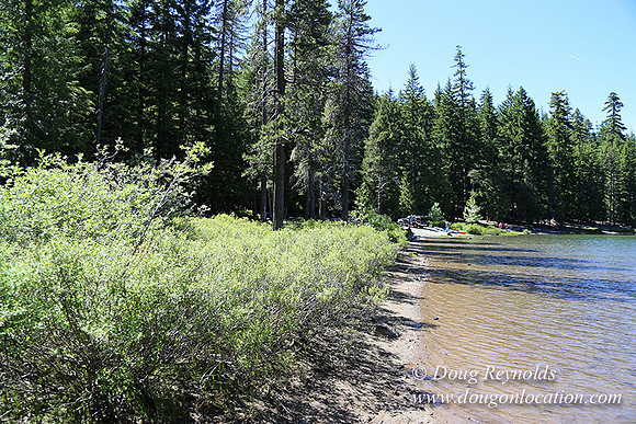 Frog Lake-3400