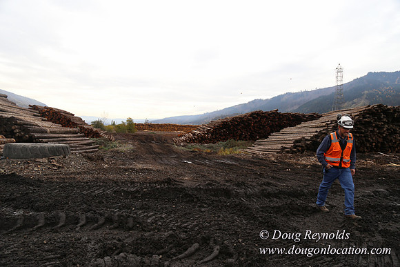 SDS Lumber-1437