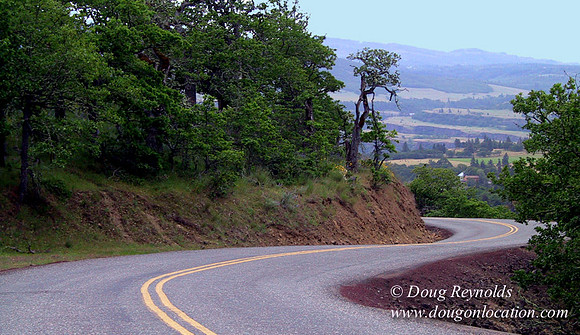 WA Canyon Rd crop- 7401
