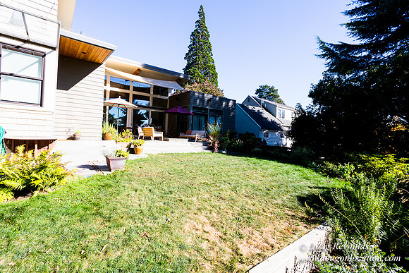 Jenx Back Yard