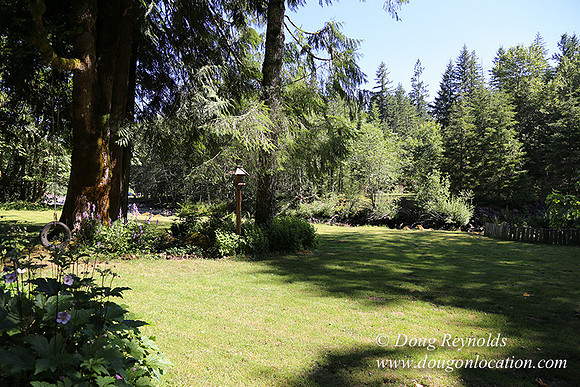 Cabin ,Home, House, River, Yard, Shop, Barn, Garden, Stream,