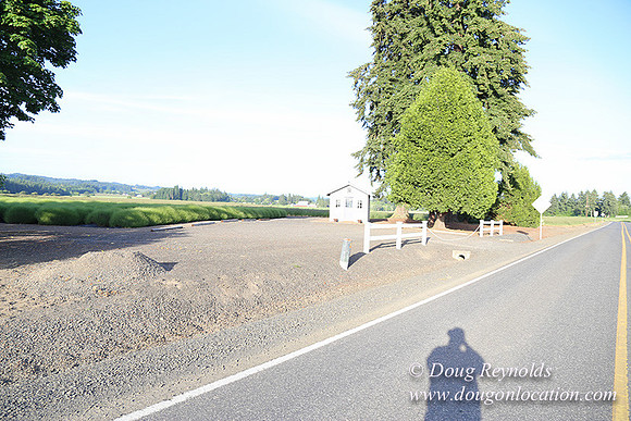 Toms Rd Side-6343