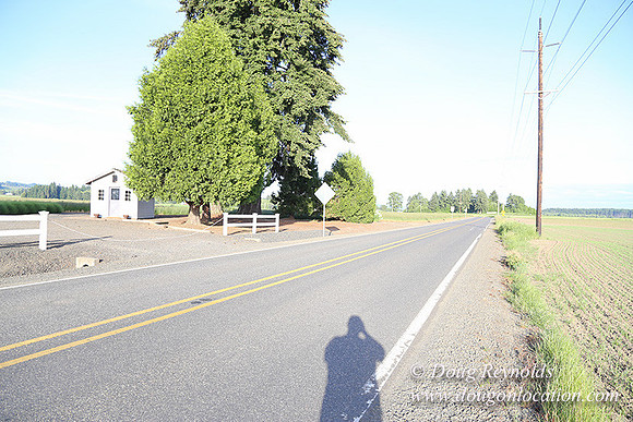 Toms Rd Side-6364