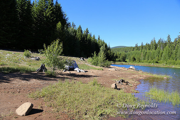 Clear Lake-3592