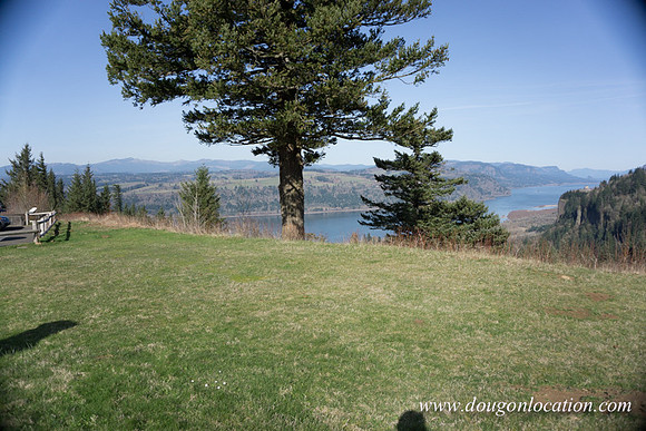Women's Forum View-2974