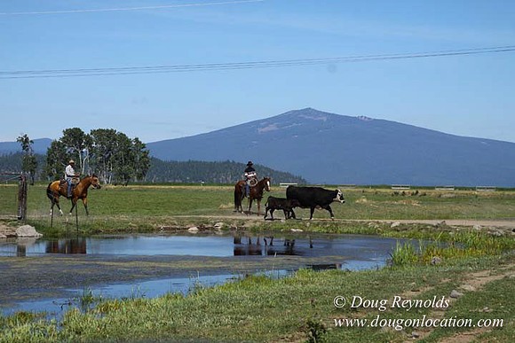 2500 Acres of green fields Creeks water crossing Bridges on a Large Lake and miles of Dirt roads Oak trees Forest land ATV Trails cows