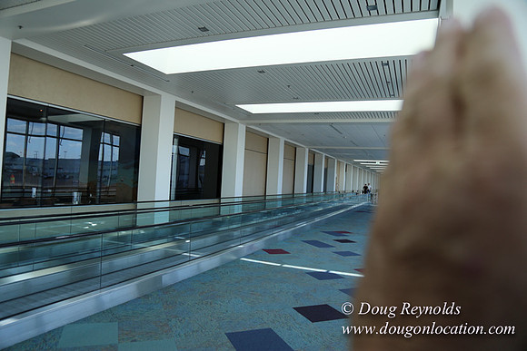 PDX C_D Crossover-3654