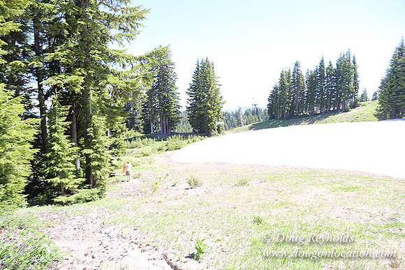 Medow's Snow-5787