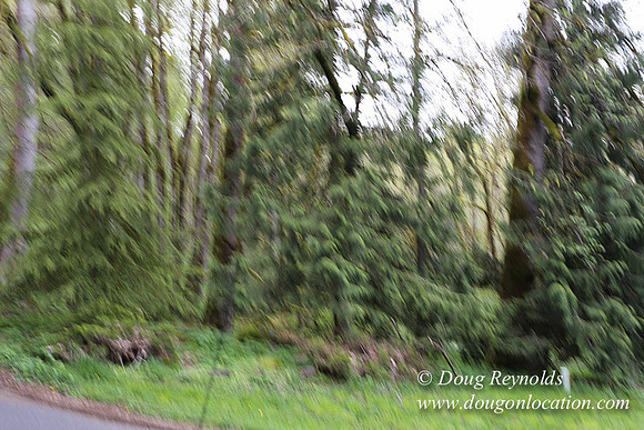 Brians Upper Drive-0290