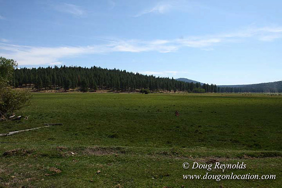 2500 Acres of green fields Creeks water crossing Bridges on a Large Lake and miles of Dirt roads Oak trees Forest land ATV Trails cows