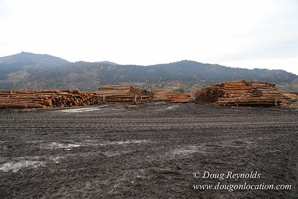 SDS Lumber-1454