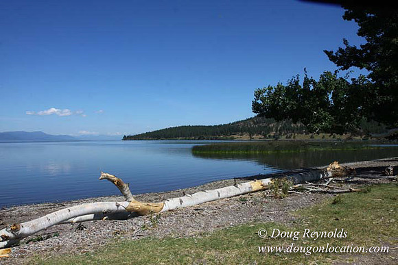2500 Acres of green fields Creeks water crossing Bridges on a Large Lake and miles of Dirt roads Oak trees Forest land ATV Trails cows