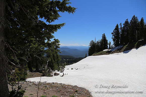 Medow's Snow-5706