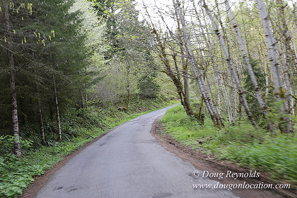 Brians Rd to the Gate-0306