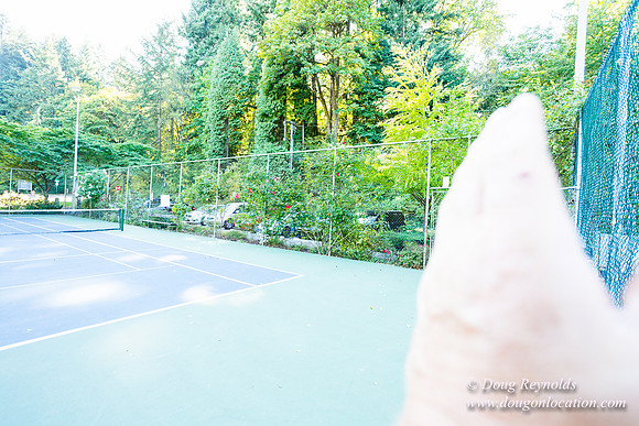 Washington Park Tennis Courts