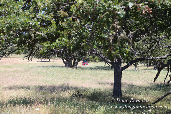 Brothers Ranch-8501