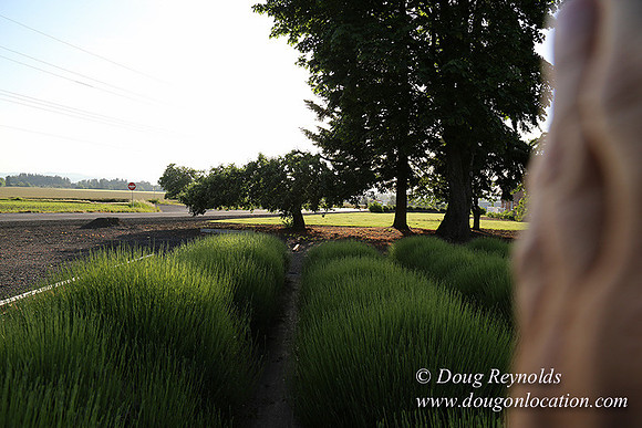 Toms Rd Side-6373