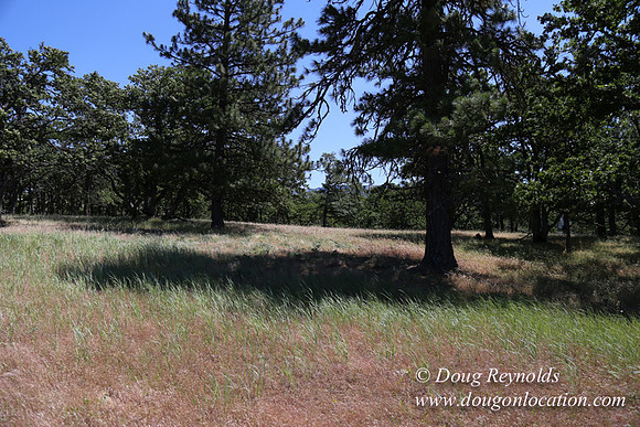 Brothers Ranch-8490