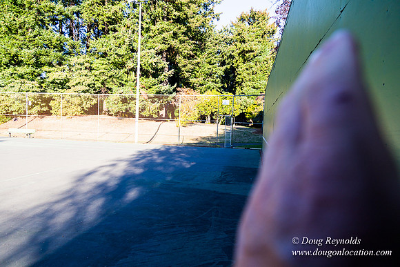 Kenilworth Courts
