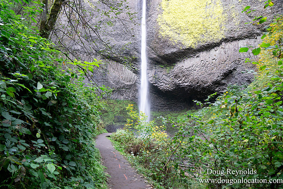 SNog Productions Sony 2016 Oregon