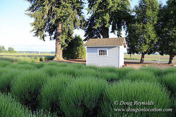 Toms Rd Side-6376
