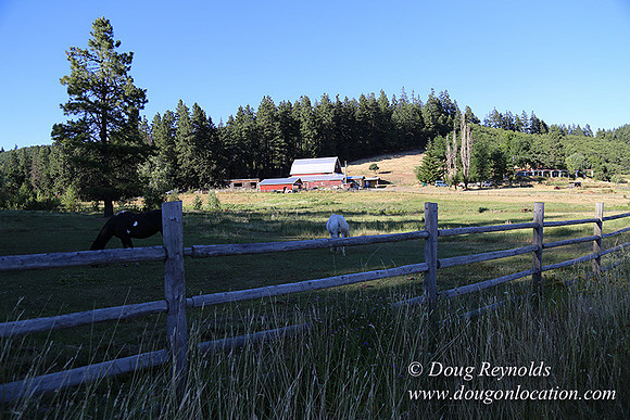 Neil Creek Horses-8558