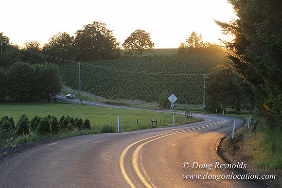 Hwy 214 M18-7661