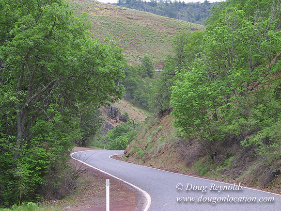 WA Canyon Rd- 7419