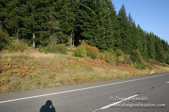 Hwy 224 S Side-1283