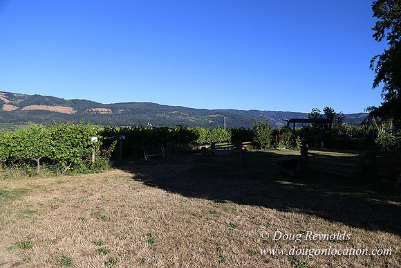 Patricks Farm Well maintained property, Lots of flowers Old Barn Farm House fruit trees Berries, Goats, Chicken’s, Turkey,